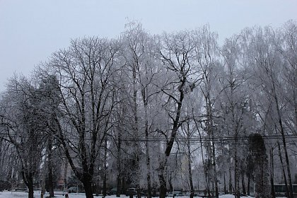 Suceava de gheață - Fotogalerie