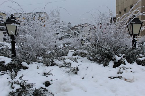 Suceava de gheață - Fotogalerie