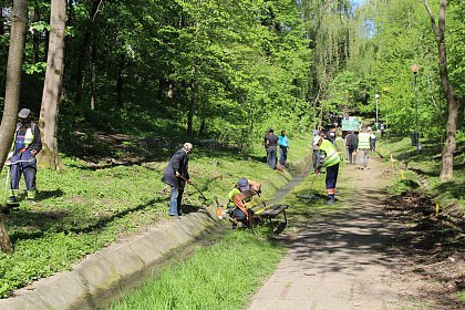 Acțiune de iginiezare a Parcului Șipote, inițiată de Direcția Silvică și Primăria Suceava