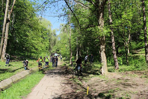 Acțiune de iginiezare a Parcului Șipote, inițiată de Direcția Silvică și Primăria Suceava