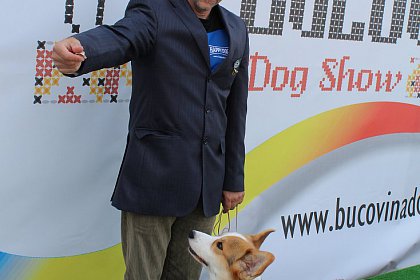 Bucovina Dog Show revine la Shopping City Suceava
