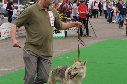 Bucovina Dog Show revine la Shopping City Suceava