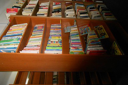 O mie de cărţi în limba engleză pentru Biblioteca Bucovinei şi alte biblioteci publice din judeţ