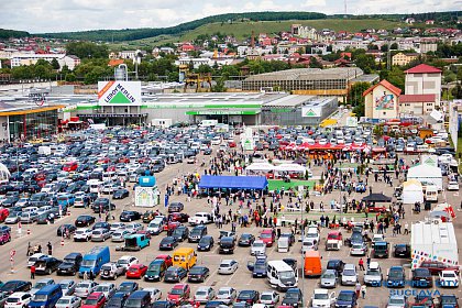 Peste 600 de câini de rasă participă la Bucovina Dog Show 2017