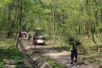 Acțiune de igienizare a Parcului Șipote