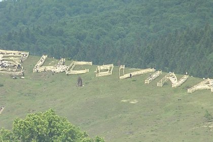 Luna Diasporei începe de la 1 august, în Bucovina - Program