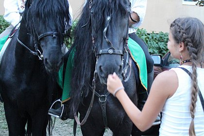 Parada cu făclii a deschis festivitățile celui mai mare festival medieval din țară, la Suceava - Galerie Foto