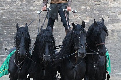 Cascadorii cu cai, momente fascinante la Festivalul Medieval de la Suceava