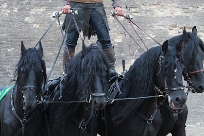 Cascadorii cu cai, momente fascinante la Festivalul Medieval de la Suceava