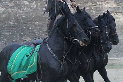 Cascadorii cu cai, momente fascinante la Festivalul Medieval de la Suceava