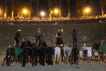 Cascadorii cu cai, momente fascinante la Festivalul Medieval de la Suceava