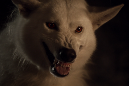 Ultimul episod  din sezonul 7 Game of Thrones – „Dragonul și lupul”