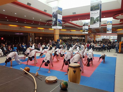 Primul Festival de Capoeira, sâmbătă, la Shopping City Suceava