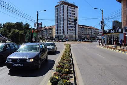 50.000 de lalele vor înfrumuseța străzile Sucevei în primăvară
