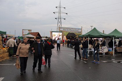 Trei zile de voie bună și preparate tradiționale la Târgul de Toamnă „Produs în Bucovina” - Galerie Foto