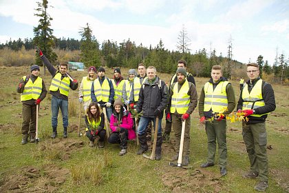 21.000 de puieți de arbori plantați la debutul proiectului „Pădurea de mâine”