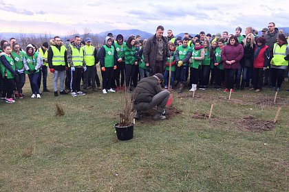 21.000 de puieți de arbori plantați la debutul proiectului „Pădurea de mâine”