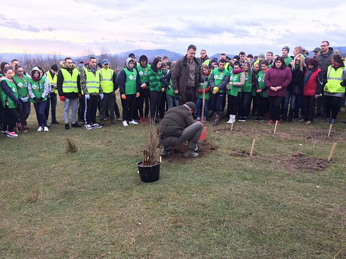 21.000 de puieți de arbori plantați la debutul proiectului „Pădurea de mâine”