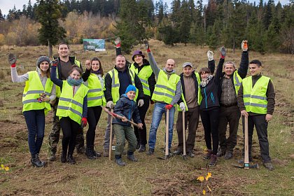 21.000 de puieți de arbori plantați la debutul proiectului „Pădurea de mâine”