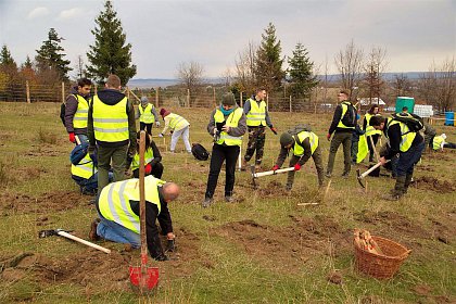 21.000 de puieți de arbori plantați la debutul proiectului „Pădurea de mâine”