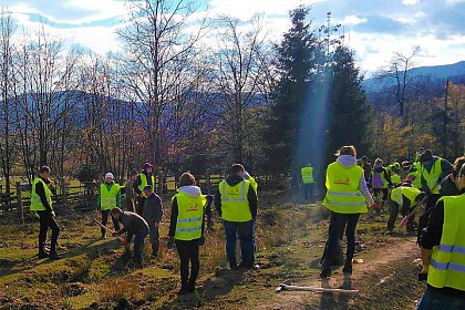 21.000 de puieți de arbori plantați la debutul proiectului „Pădurea de mâine”