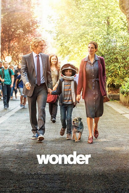 Wonder