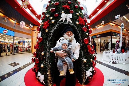 Brad unic în Suceava, în incinta unui centru comercial