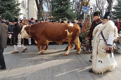 Parada măștilor și Festivalul internațional „Obiceiuri de iarnă”, miercuri, în Suceava