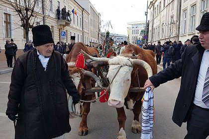 Parada măștilor și Festivalul internațional „Obiceiuri de iarnă”, miercuri, în Suceava