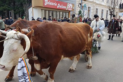 Parada măștilor și Festivalul internațional „Obiceiuri de iarnă”, miercuri, în Suceava