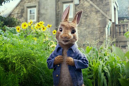 Peter Rabbit