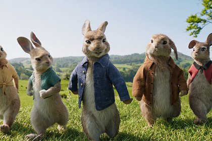 Peter Rabbit