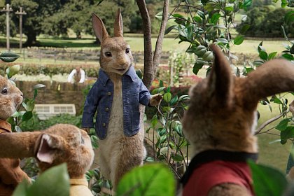 Peter Rabbit