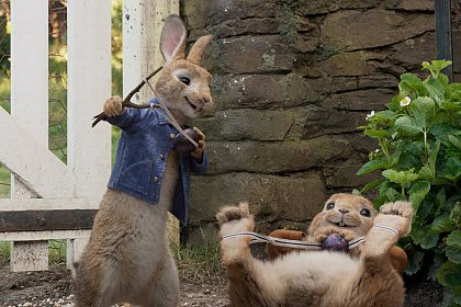 Peter Rabbit