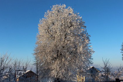 Magia iernii - galerie foto