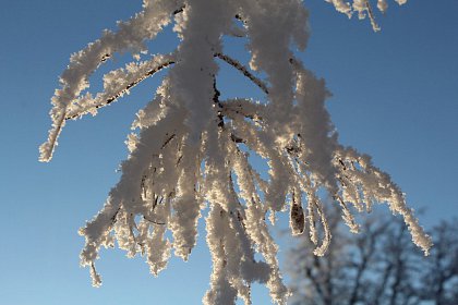 Magia iernii - galerie foto