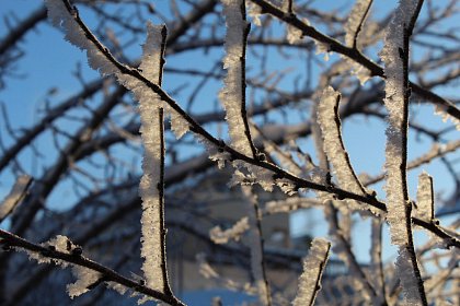 Magia iernii - galerie foto