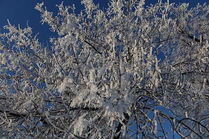 Magia iernii - galerie foto