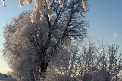 Magia iernii - galerie foto