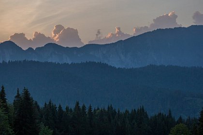 România neîmblânzită