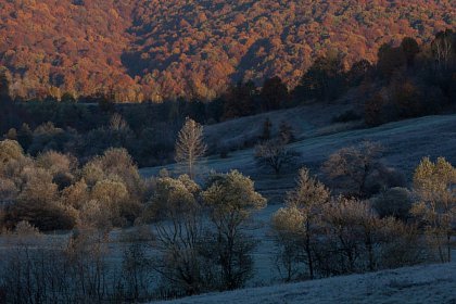 România neîmblânzită