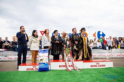 Bucovina Dog Show - cel mai important eveniment chinologic din zona de nord a țării