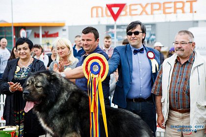 Bucovina Dog Show - cel mai important eveniment chinologic din zona de nord a țării