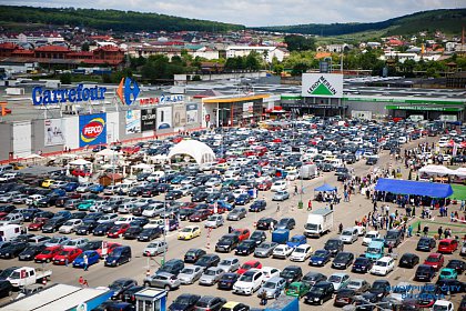 Peste 900 de câini de rasă vor participa în weekend la Bucovina Dog Show 2018