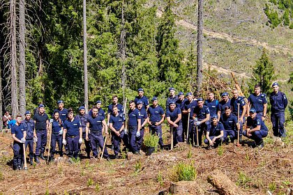 Peste 6.300 de puieți de arbori au fost plantați în Parcul Național Călimani, prin Proiectul „Pădurea de Mâine"