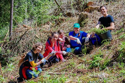 Peste 6.300 de puieți de arbori au fost plantați în Parcul Național Călimani, prin Proiectul „Pădurea de Mâine"