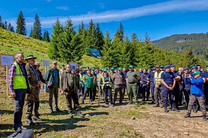 Peste 6.300 de puieți de arbori au fost plantați în Parcul Național Călimani, prin Proiectul „Pădurea de Mâine"