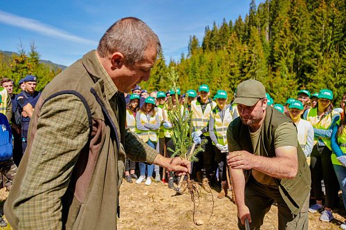 Peste 6.300 de puieți de arbori au fost plantați în Parcul Național Călimani, prin Proiectul „Pădurea de Mâine"