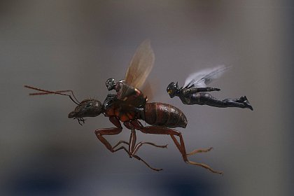 Ant-Man and the Wasp