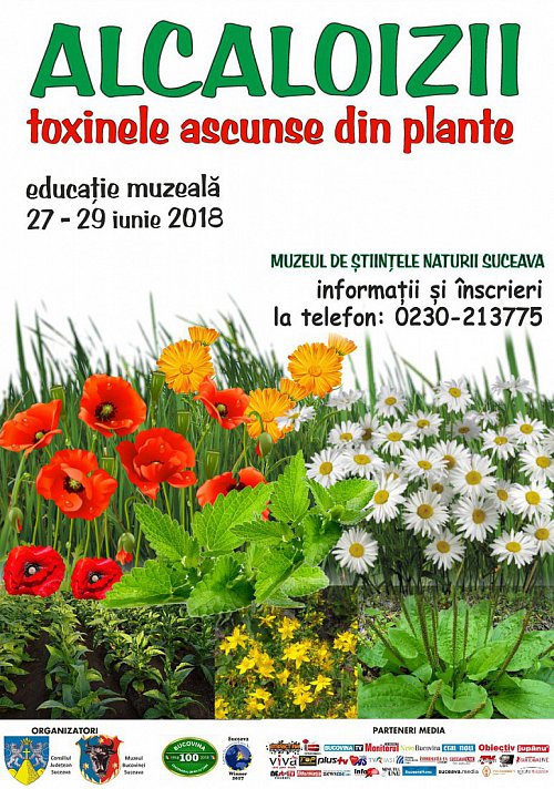 Alcaloizii- toxinele ascunse din plante